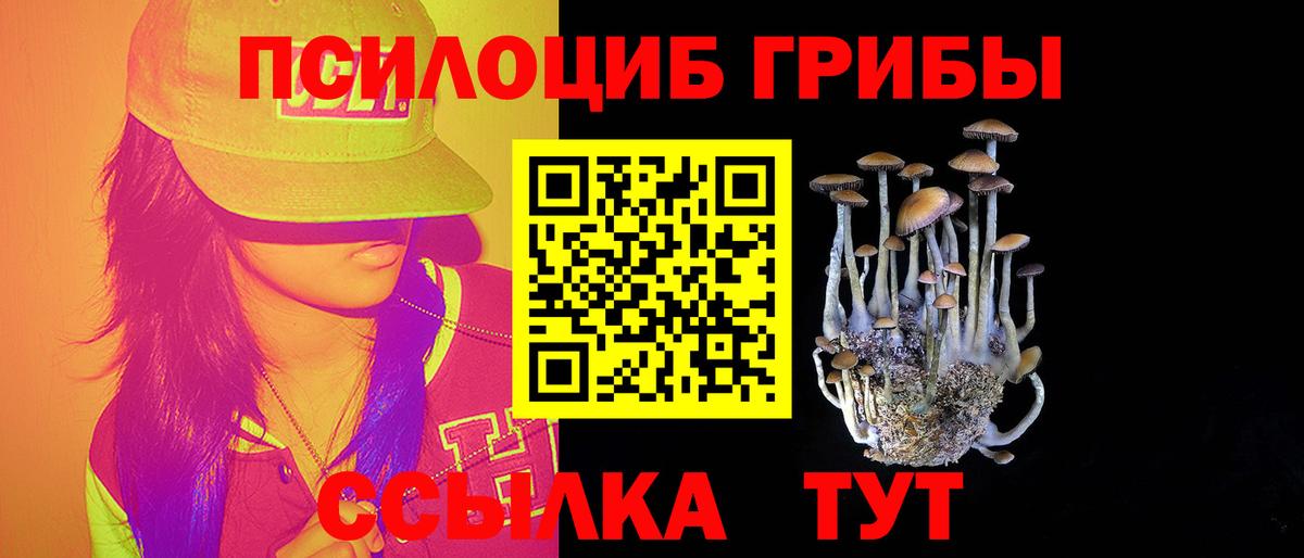 Псилоцибиновые грибы Psilocybine cubensis  Вход с VPN  Галлюциногенные грибы MAGIC MUSHROOMS  Хабаровск 